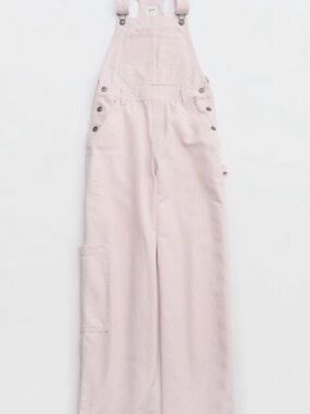 Aerie Pastel Stripe Denim Overalls